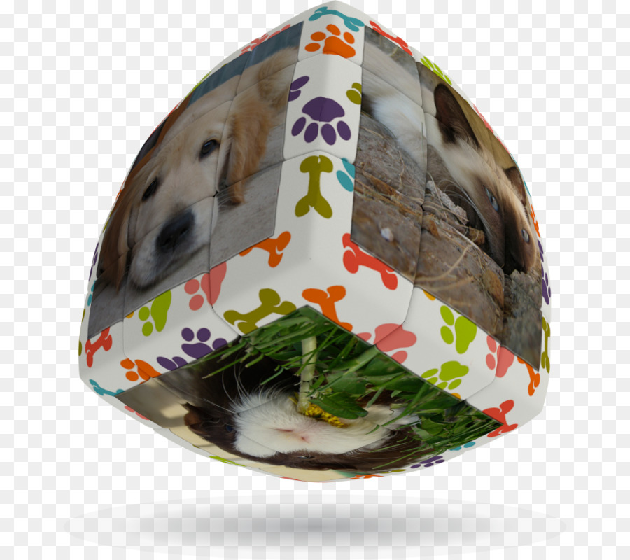 Cube，Animal De Compagnie PNG