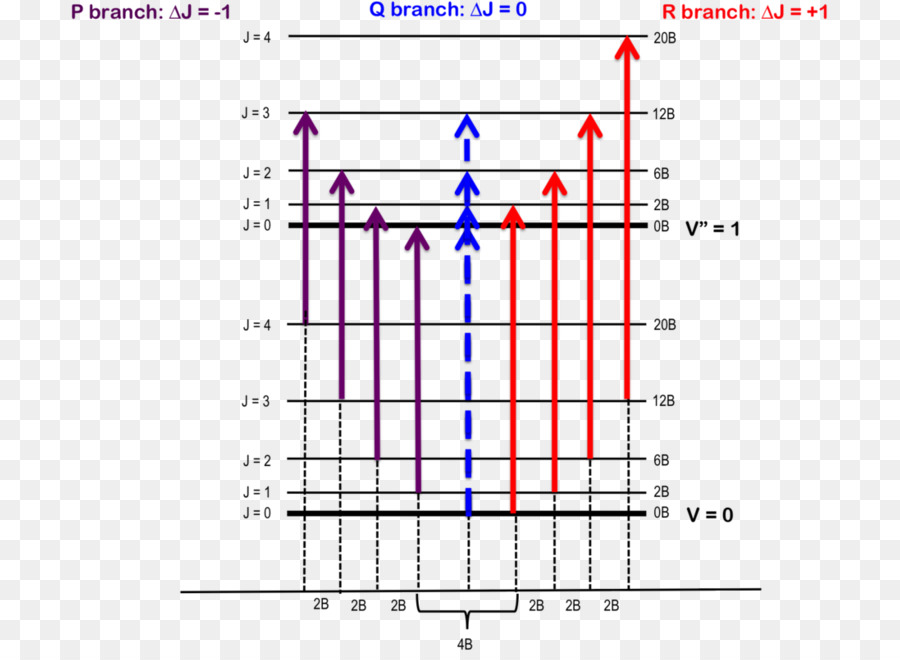 Lignes Spectrales，Branche P PNG