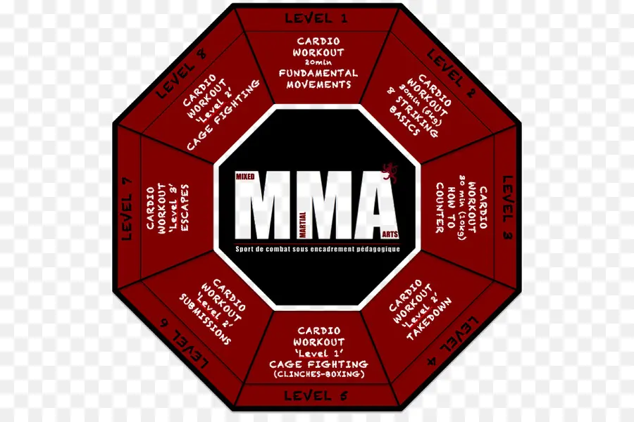 Niveaux De Formation Mma，Arts Martiaux Mixtes PNG