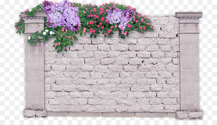 Mur De Pierre，Fleurs PNG