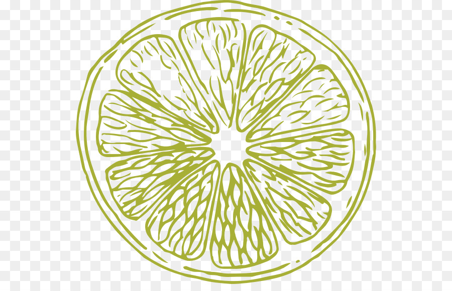 Tranche De Citron Vert，Citron Vert PNG