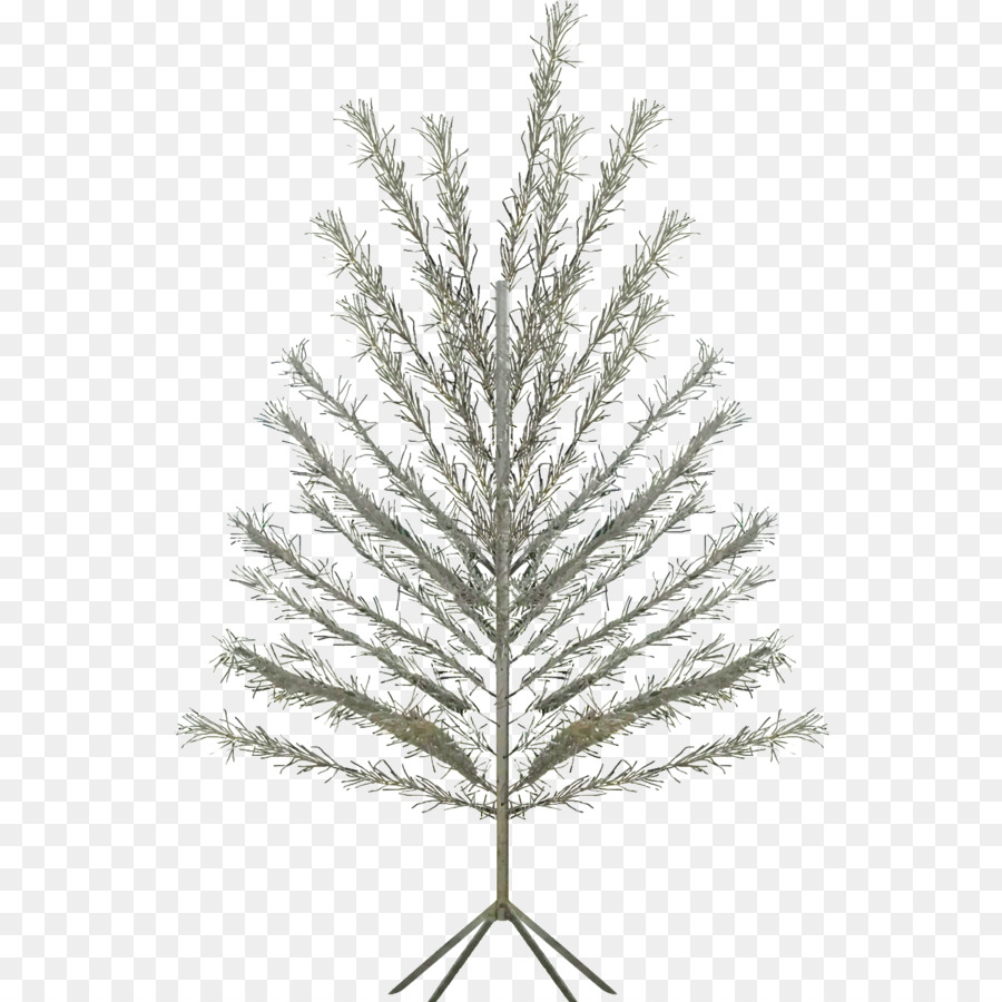 Arbre，Pin PNG