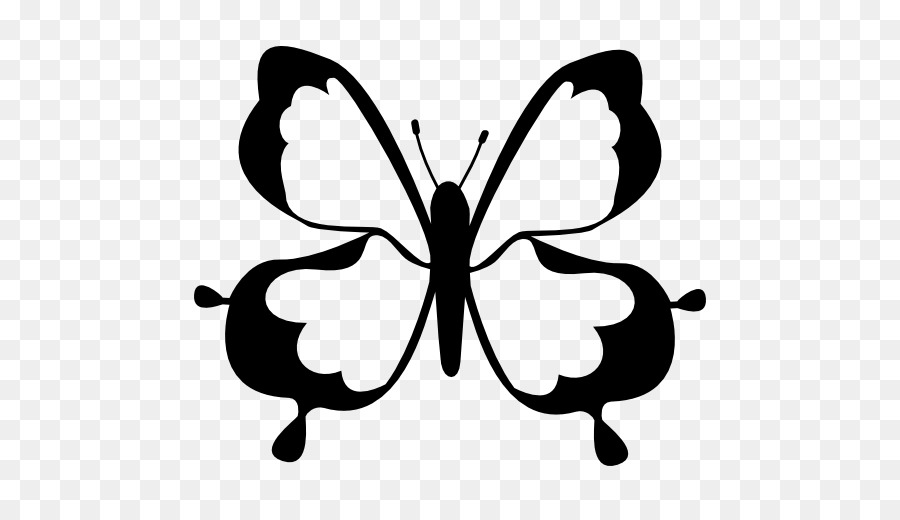 Papillon Noir，Insecte PNG