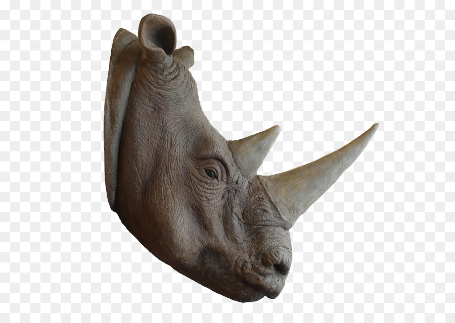 Rhinocéros，Museau PNG