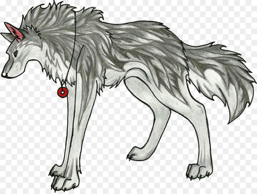 Loup Gris，Dessin PNG