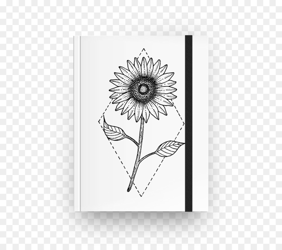 Tournesol，Dessin PNG