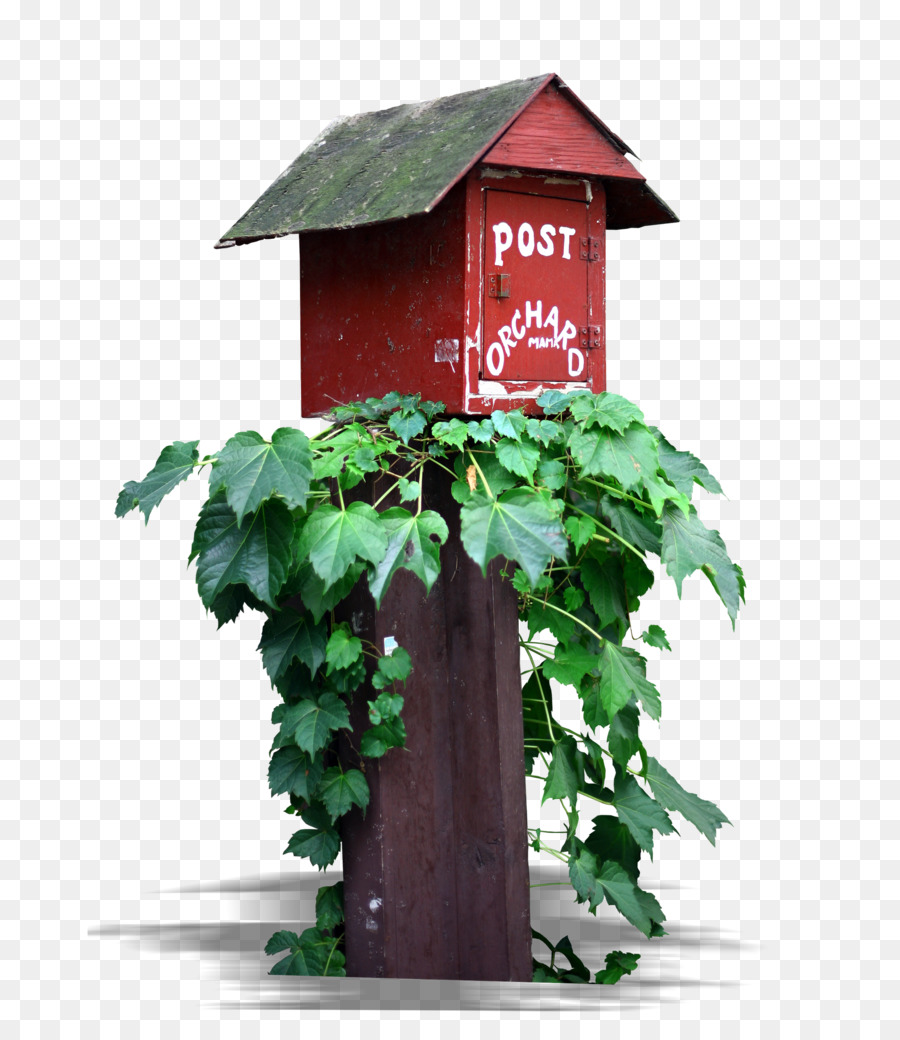 La Photographie，Flowerpot PNG