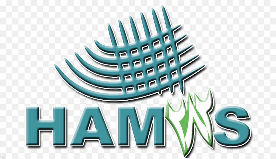 Le Hamas，Ministère De L Association étudiante PNG