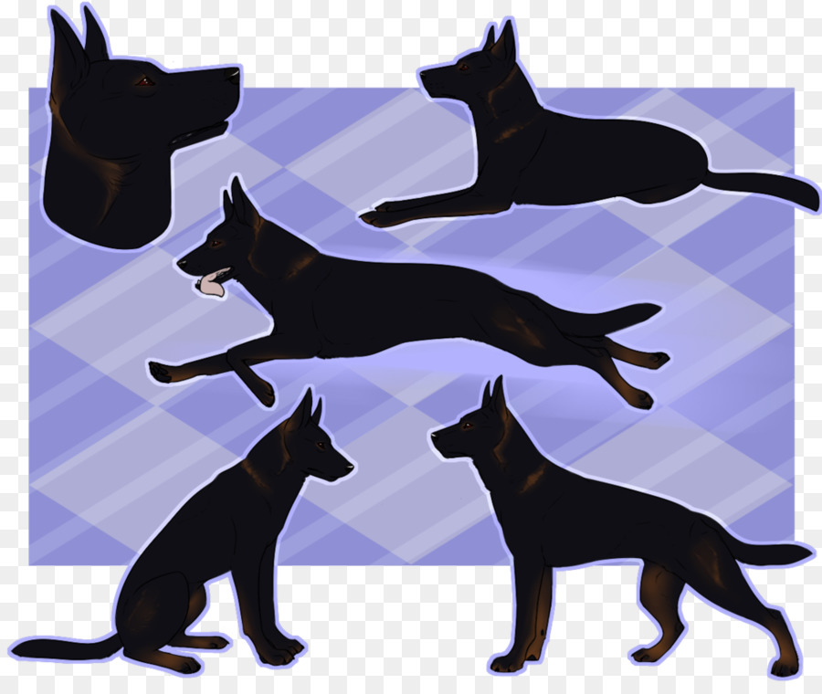 Chat，Chien PNG