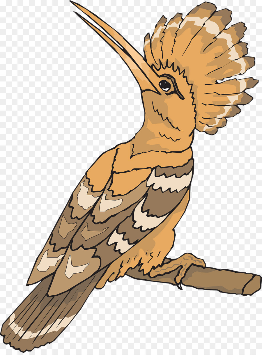 Oiseau，Hoopoe Eurasienne PNG