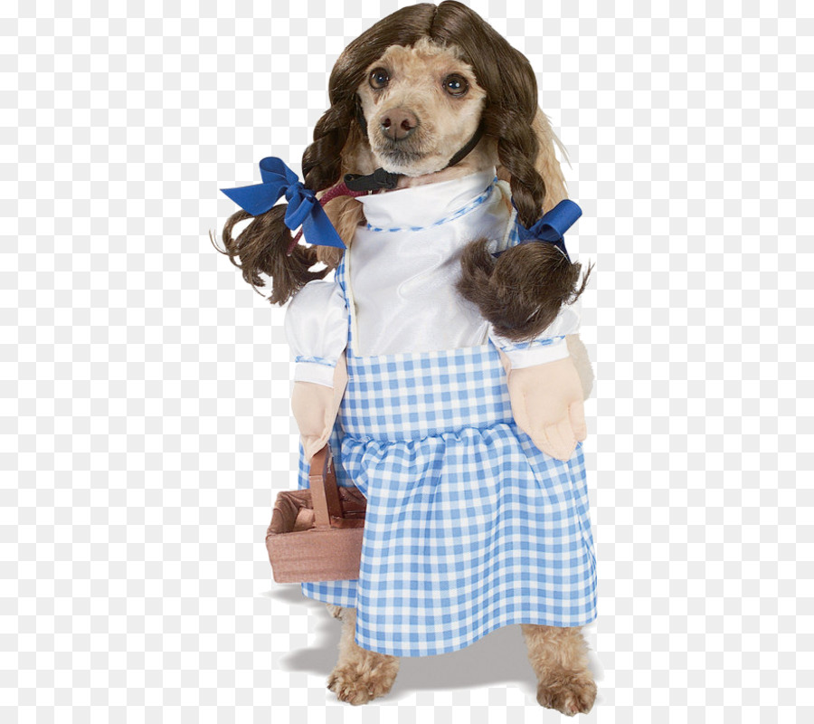 Chien，Chiot PNG