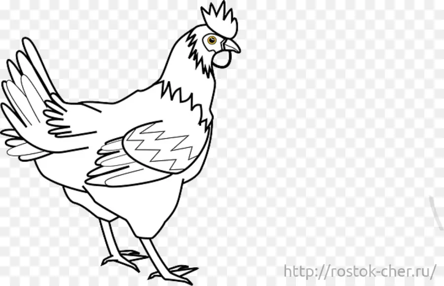 Silkie，Coq PNG