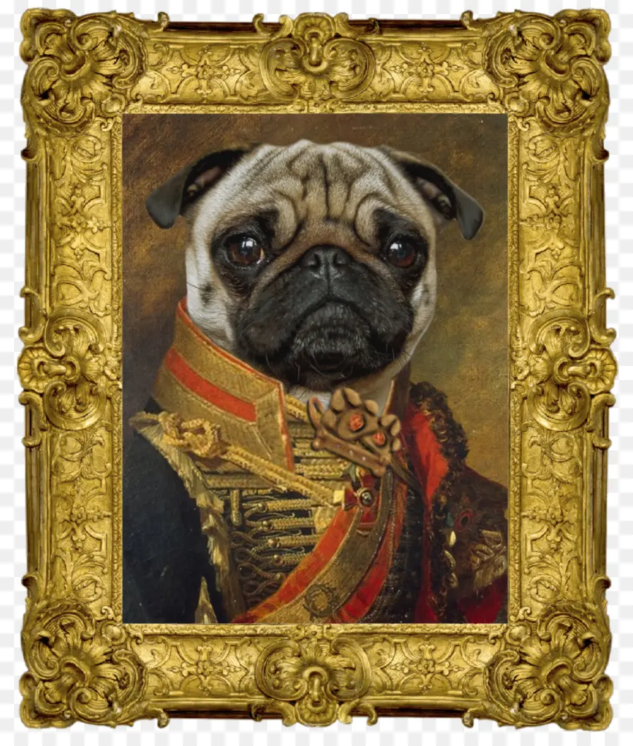 Portrait De Carlin，Chien PNG