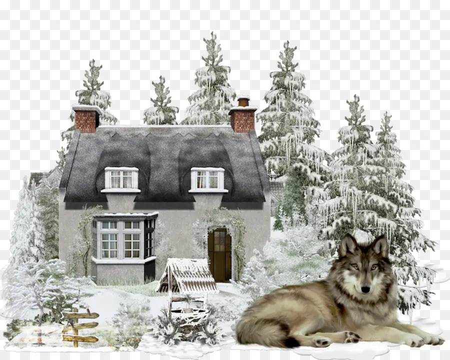 Maison D'hiver，Neige PNG