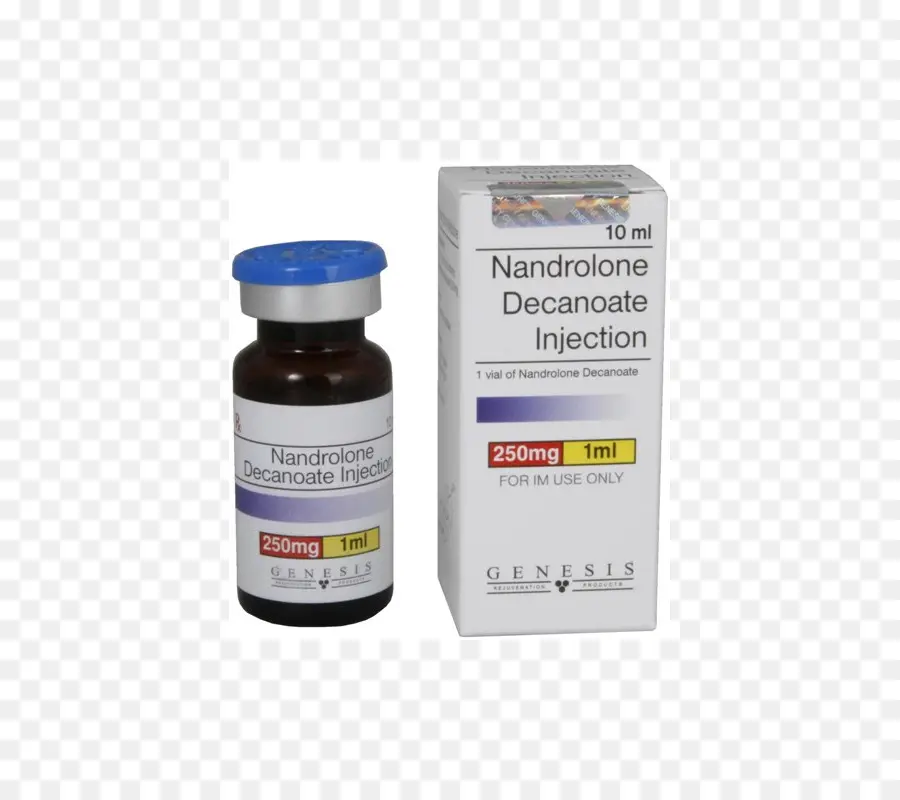 La Nandrolone，La Testostérone PNG