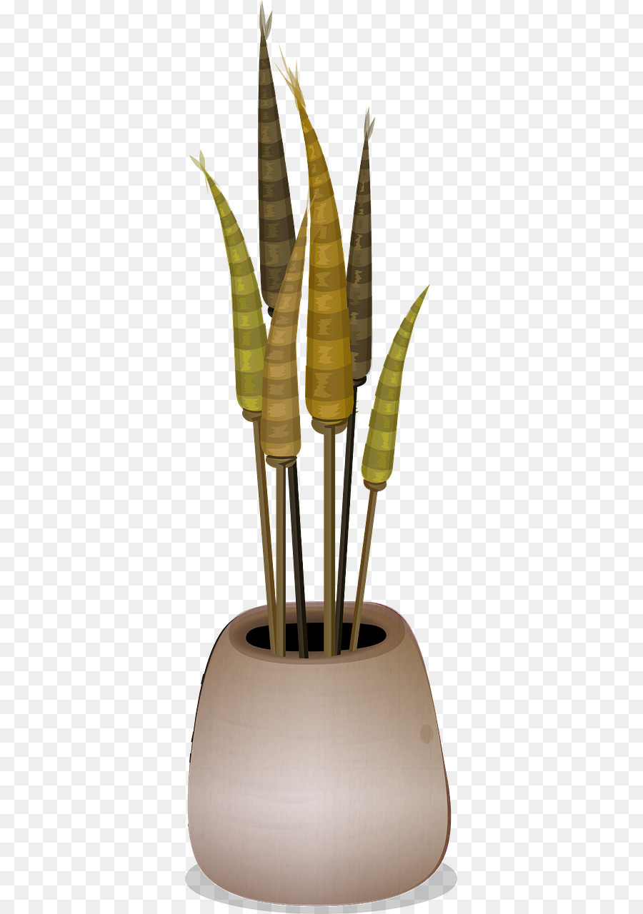 Flowerpot，Plante D Intérieur PNG