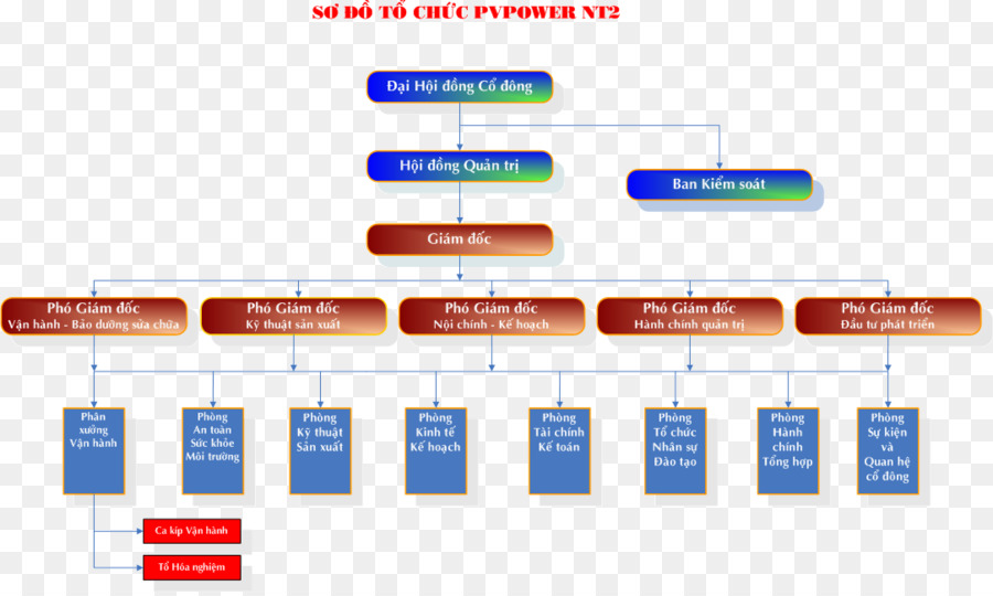 Organigramme，Structure PNG