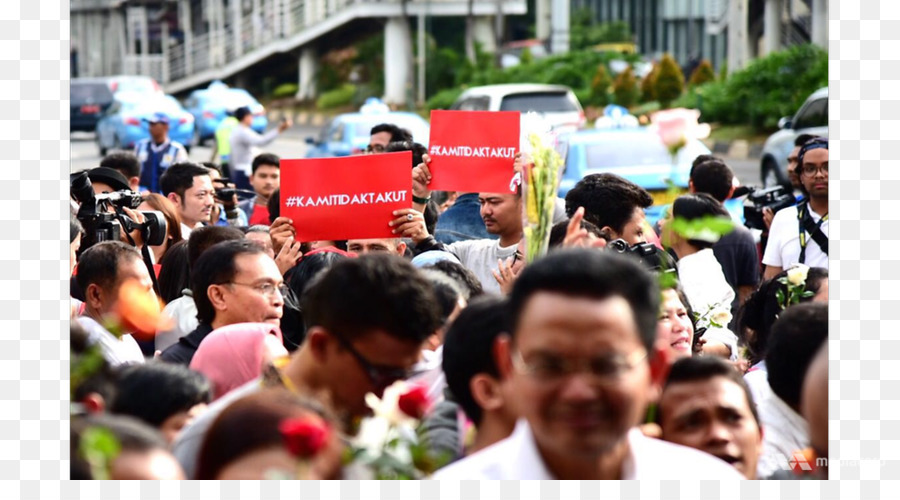 De Protestation，Festival PNG