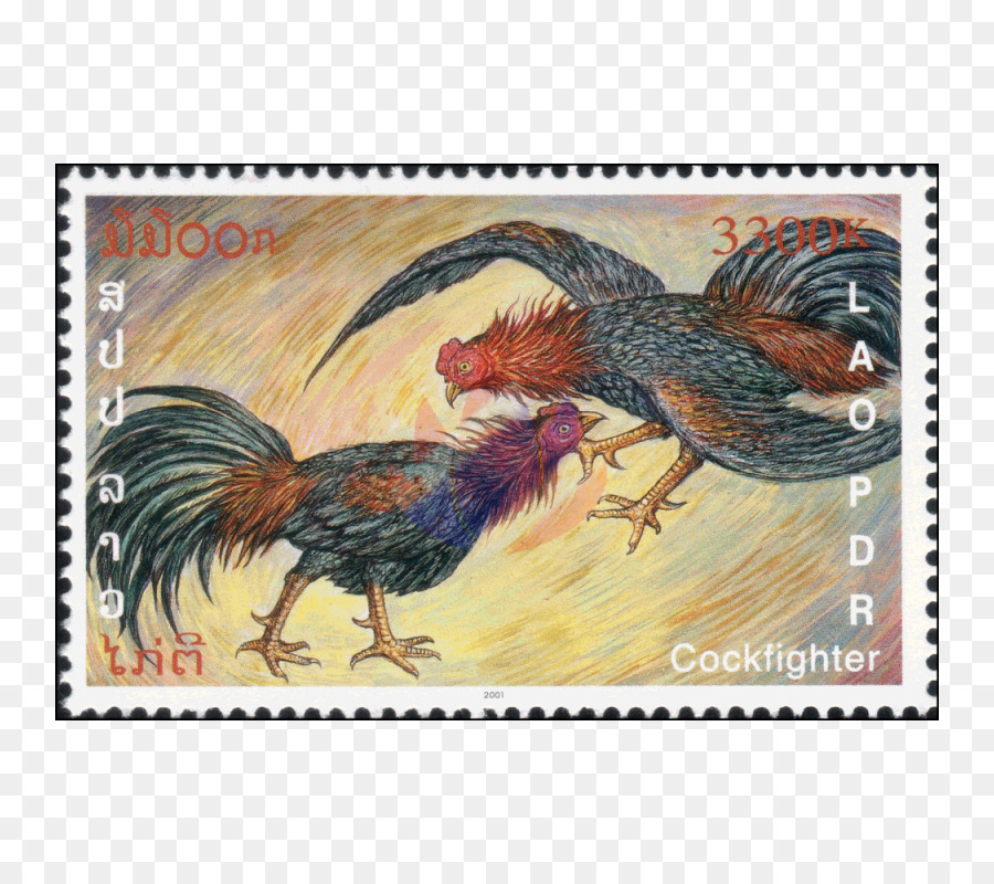 Coq，La Faune PNG