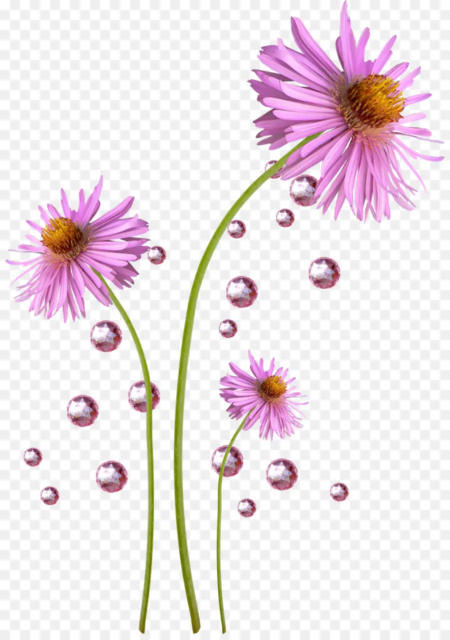 Fleur，Résolution De L Affichage PNG