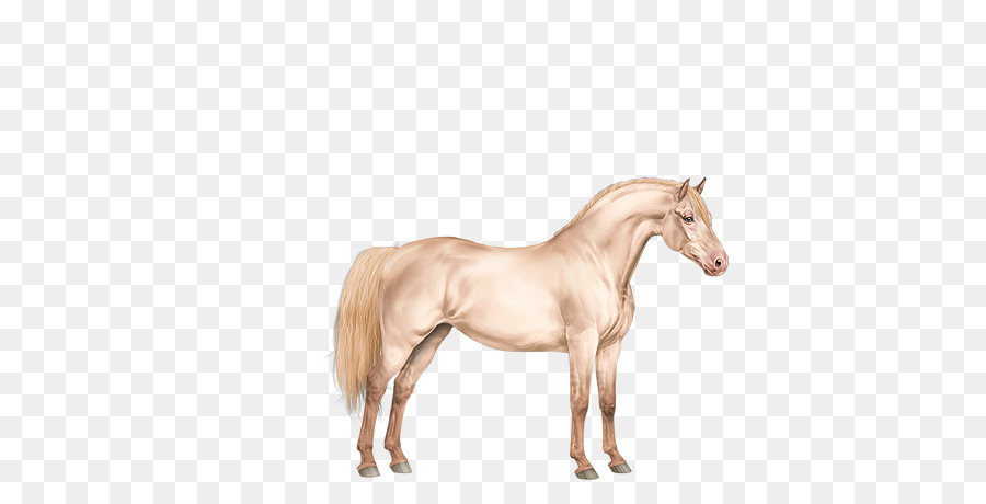 Cheval，Équin PNG