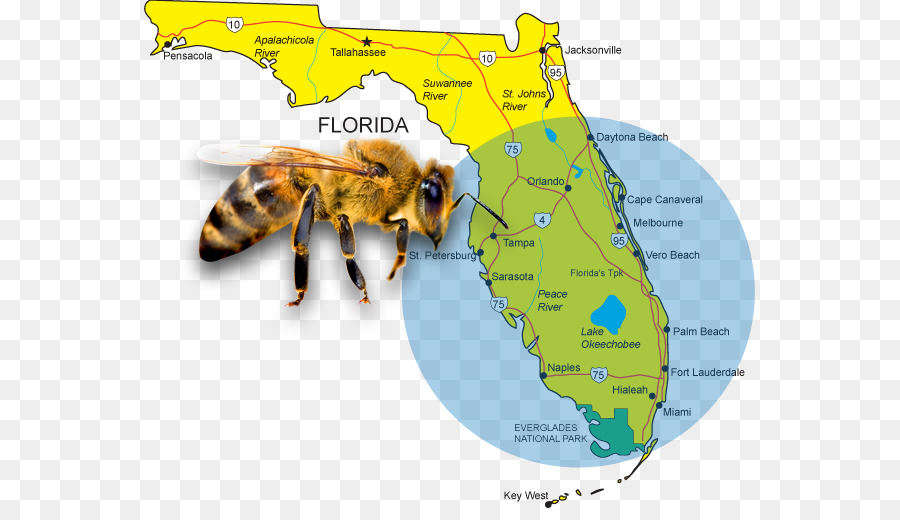 La Floride，Carte PNG