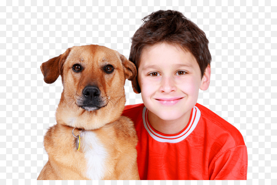 Garçon Et Chien，Enfant PNG