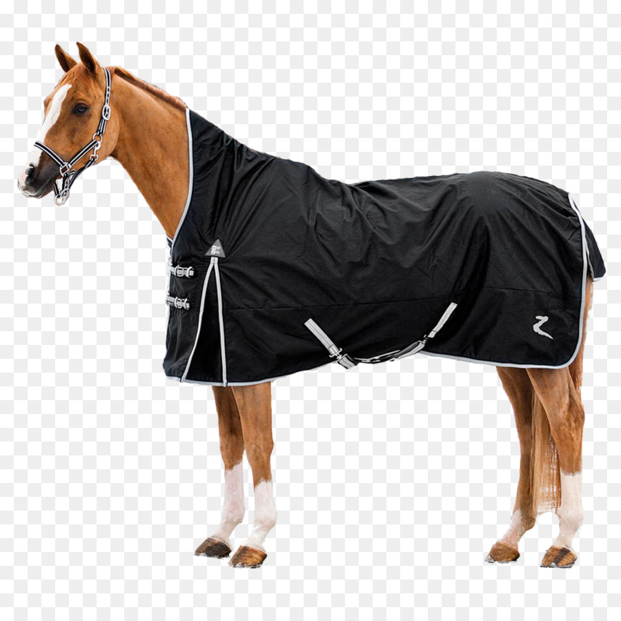 Cheval Avec Couverture，équidé PNG