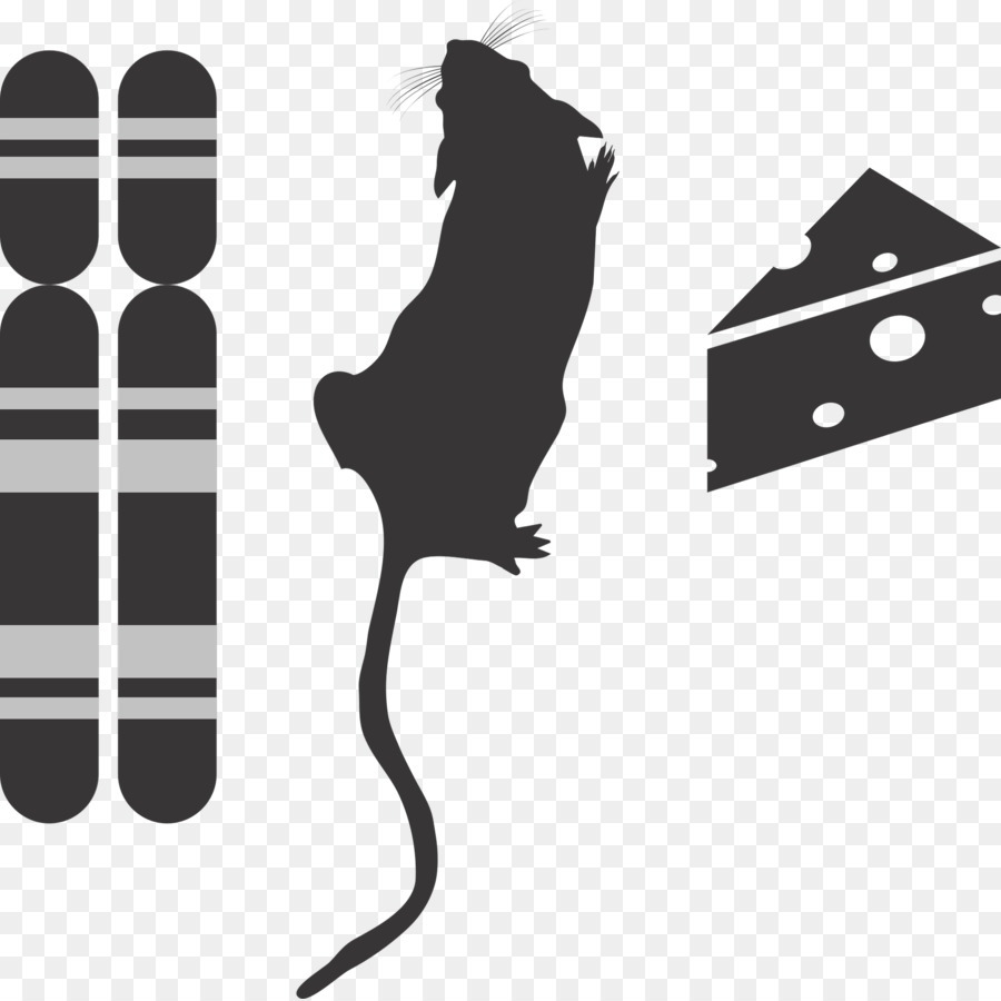 Souris Et Fromage，Animal PNG