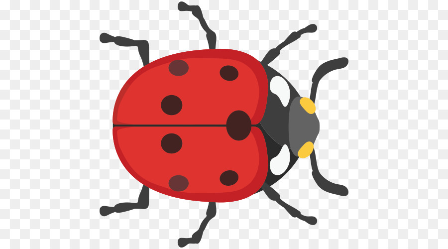 Coccinelle，Bogue PNG