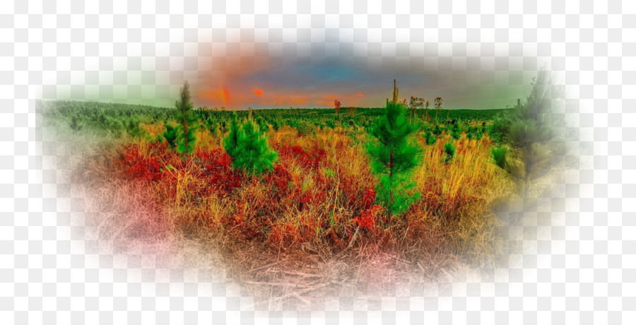 Paysage，En Plein Air PNG