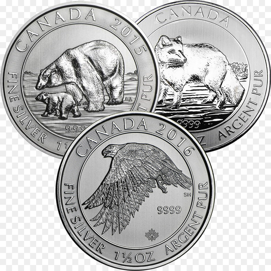 Canada，Pièce De Monnaie En Argent PNG