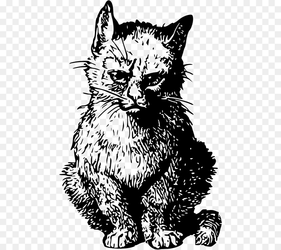 Chat，Animal De Compagnie PNG