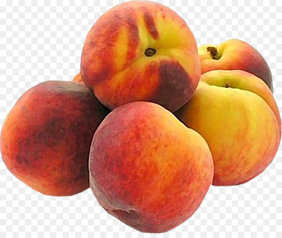 Abricots，Frais PNG