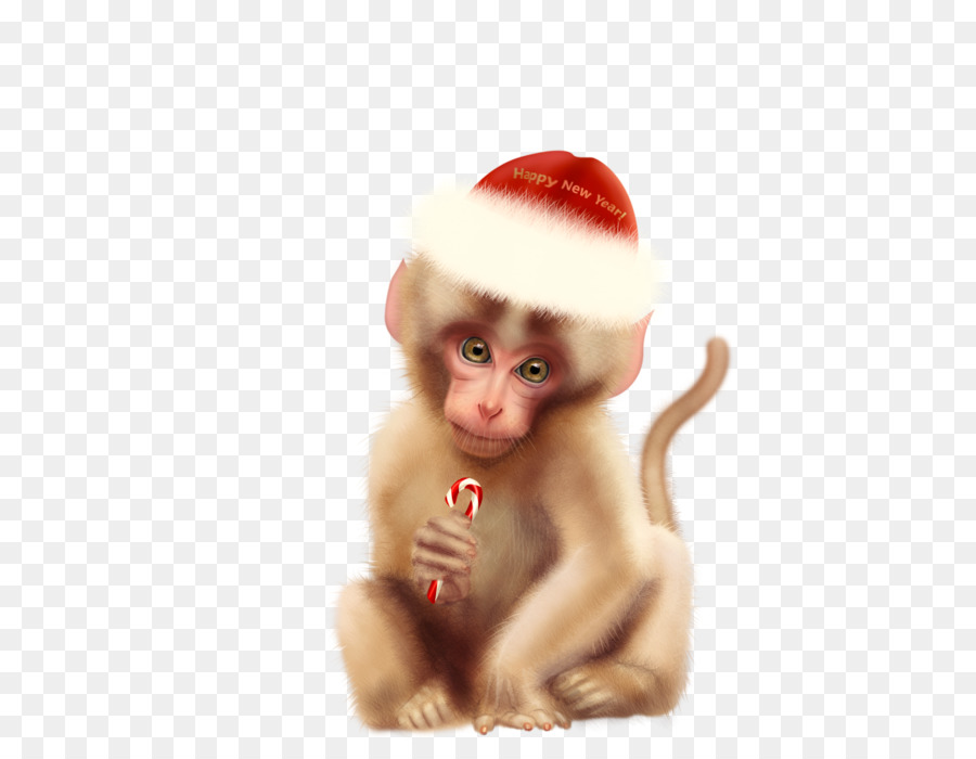 Macaque，Décoration De Noël PNG