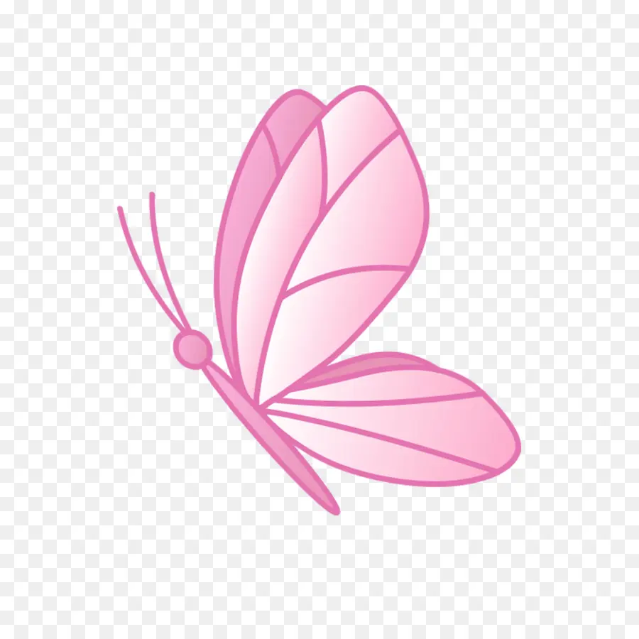 Papillon Rose，Insecte PNG