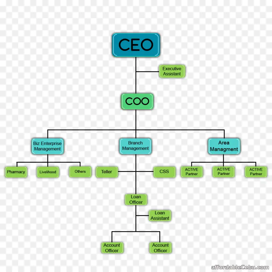 Organigramme，Structure PNG