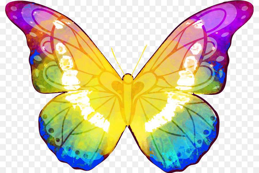 Papillon Coloré，Ailes PNG