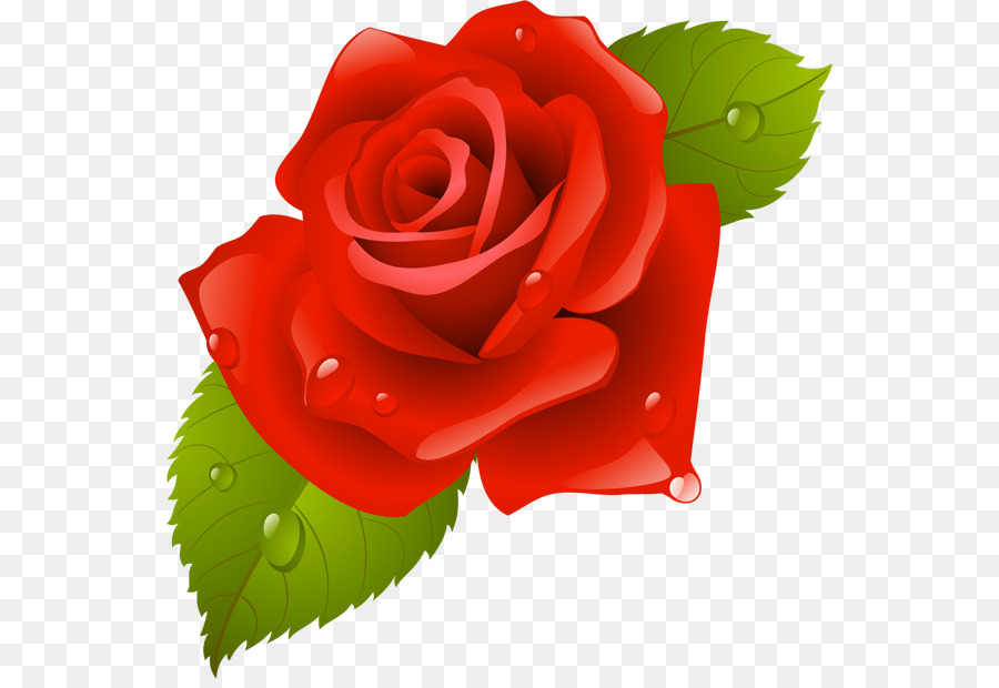 Les Roses De Jardin，Rose De Chine PNG