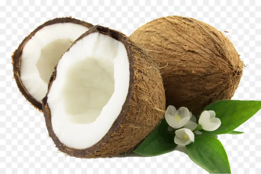 Noix De Coco，Fruit PNG