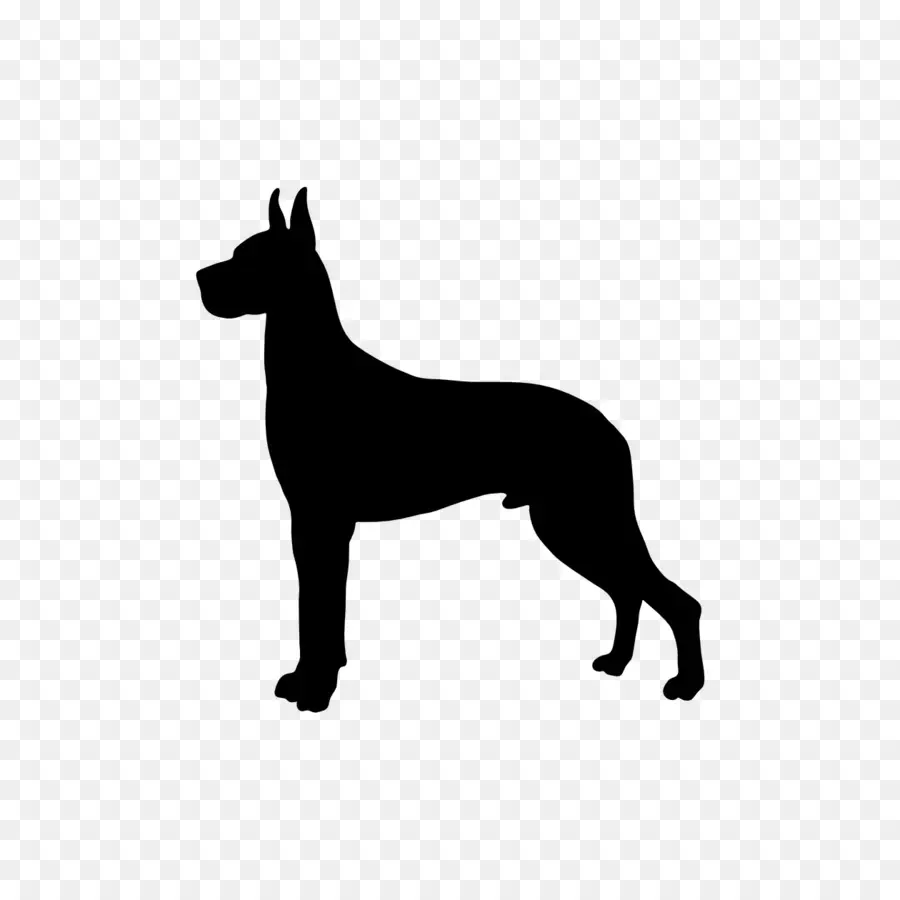 Chien，Animal De Compagnie PNG