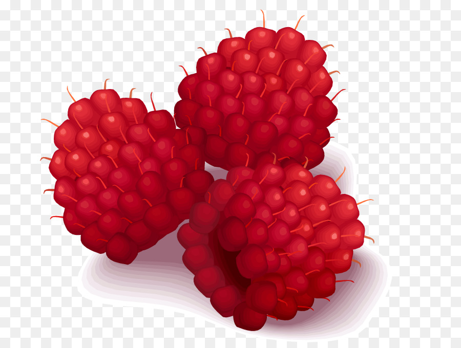 Framboises Rouges，Baies PNG