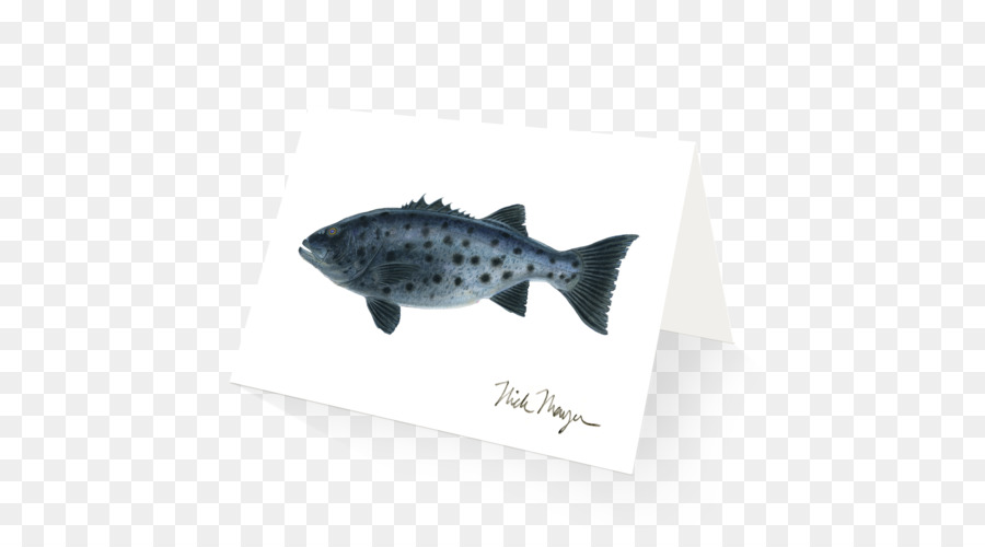 La Nageoire，Les Poissons PNG