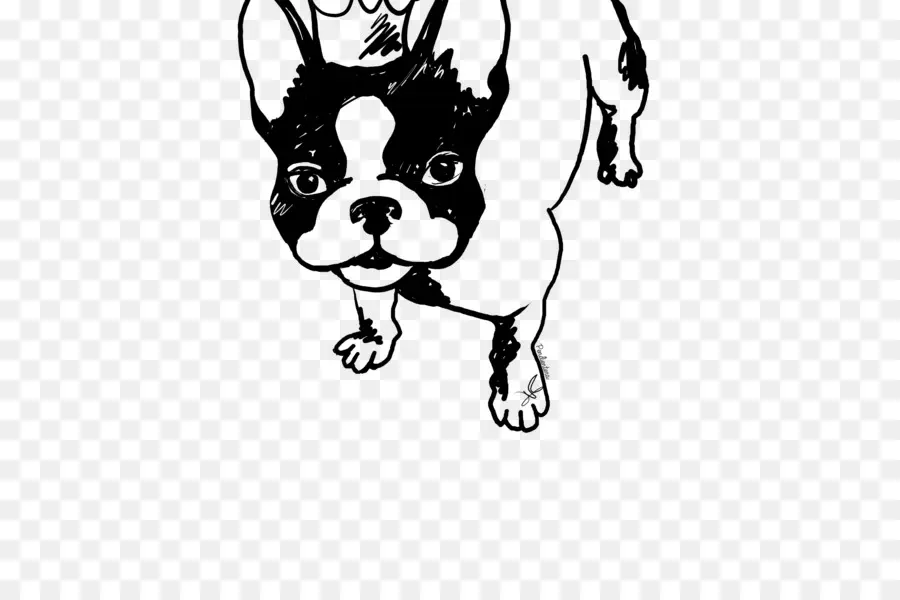 Bouledogue Français，Chien PNG