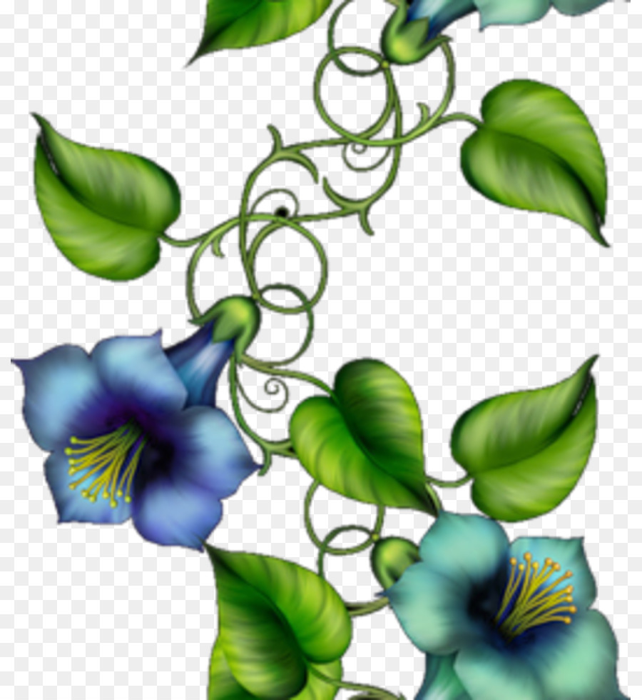 Fleur，Lettre PNG