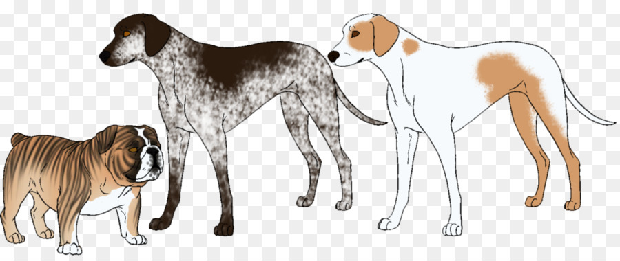 Saluki，Greyhound PNG