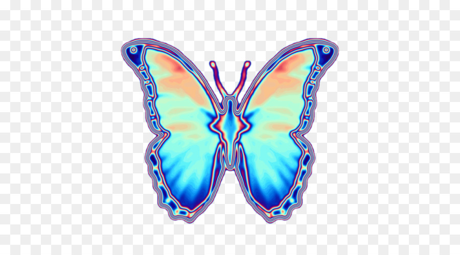 Papillon，Ailes PNG