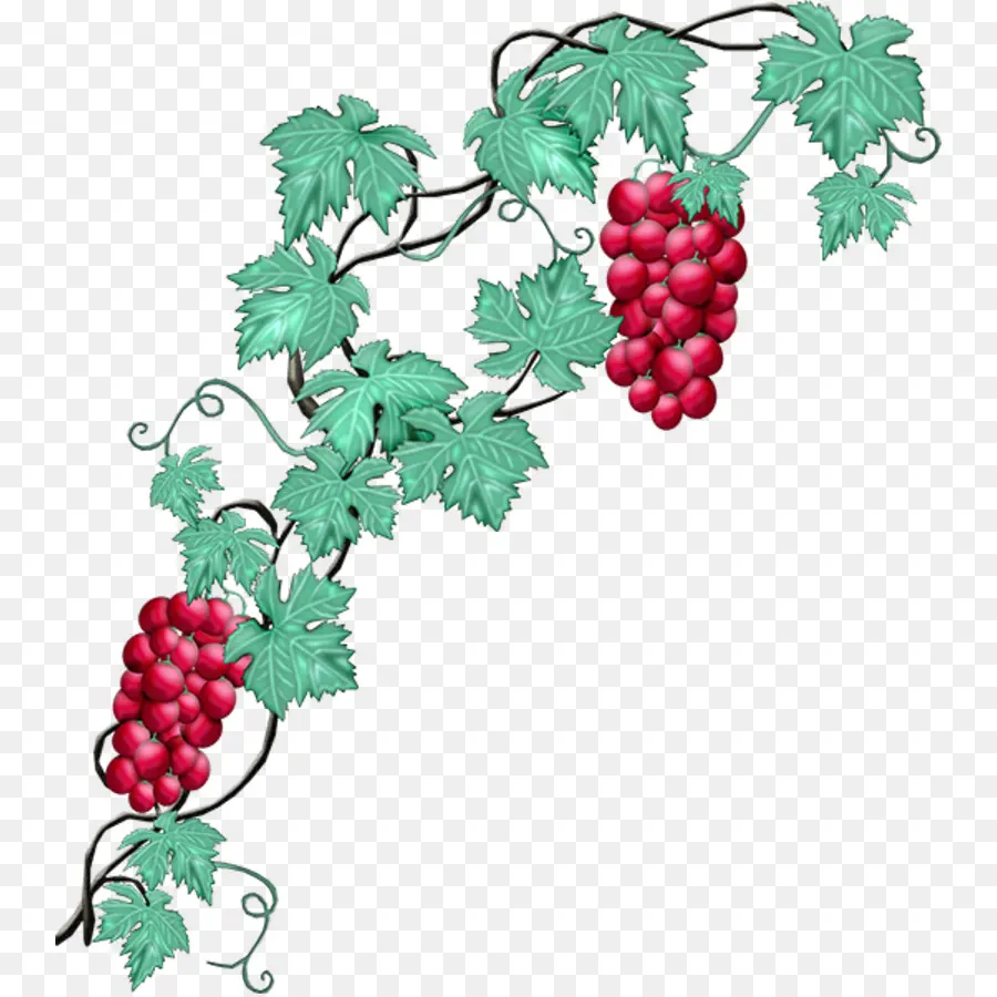 Vigne，Fruit PNG