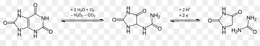 Hydantoïne，Réaction De Condensation PNG