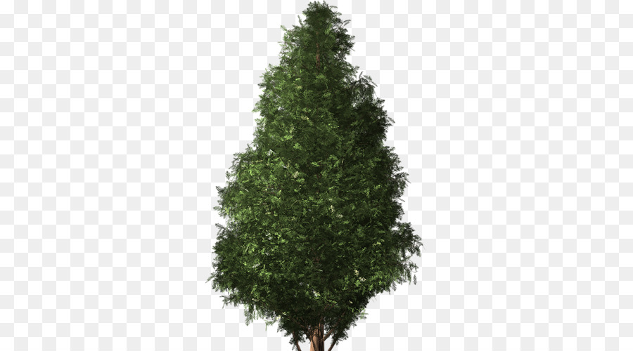 Arbre Pré Arbre，Arbre De Noël Artificiel PNG